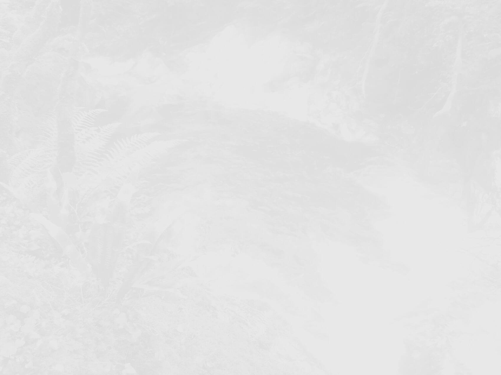Bg ComingSoon