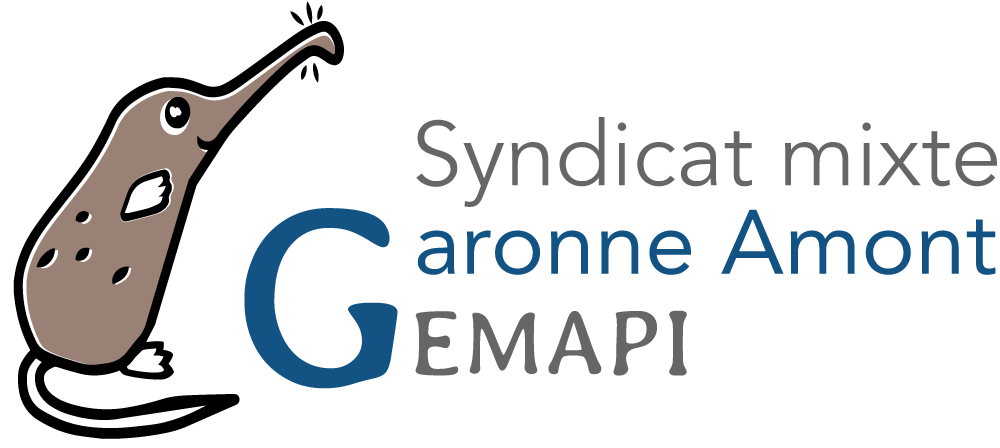 Logo Syndicat mixte Garonne Amont